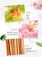 Load image into Gallery viewer, premiere Beaute Parfum collection
