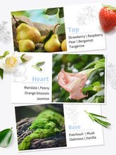 Load image into Gallery viewer, premiere Beaute Parfum collection
